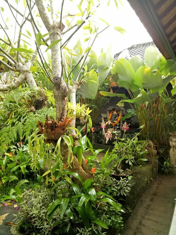 Krisda Ubud Guest House Exteriér fotografie